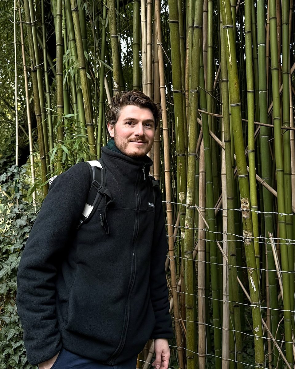 Alexander in front of a bamboo forest